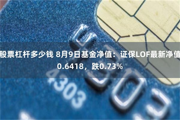 股票杠杆多少钱 8月9日基金净值：证保LOF最新净值0.6418，跌0.73%