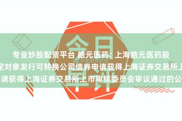 专业炒股配资平台 皓元医药: 上海皓元医药股份有限公司关于向不特定对象发行可转换公司债券申请获得上海证券交易所上市审核委员会审议通过的公告