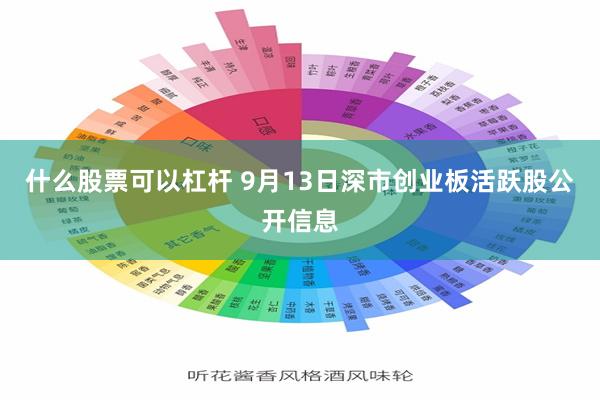 什么股票可以杠杆 9月13日深市创业板活跃股公开信息