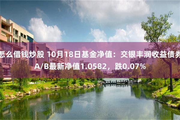 怎么借钱炒股 10月18日基金净值：交银丰润收益债券A/B最新净值1.0582，跌0.07%