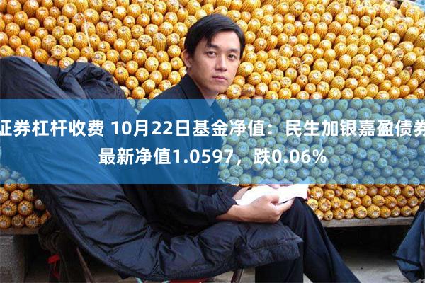 证券杠杆收费 10月22日基金净值：民生加银嘉盈债券最新净值1.0597，跌0.06%