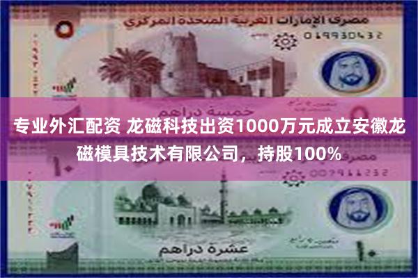 专业外汇配资 龙磁科技出资1000万元成立安徽龙磁模具技术有限公司，持股100%